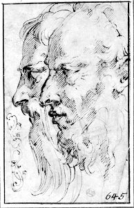 Parmigianino - Two Bearded Heads in Profile to the Left, NMH 7861863