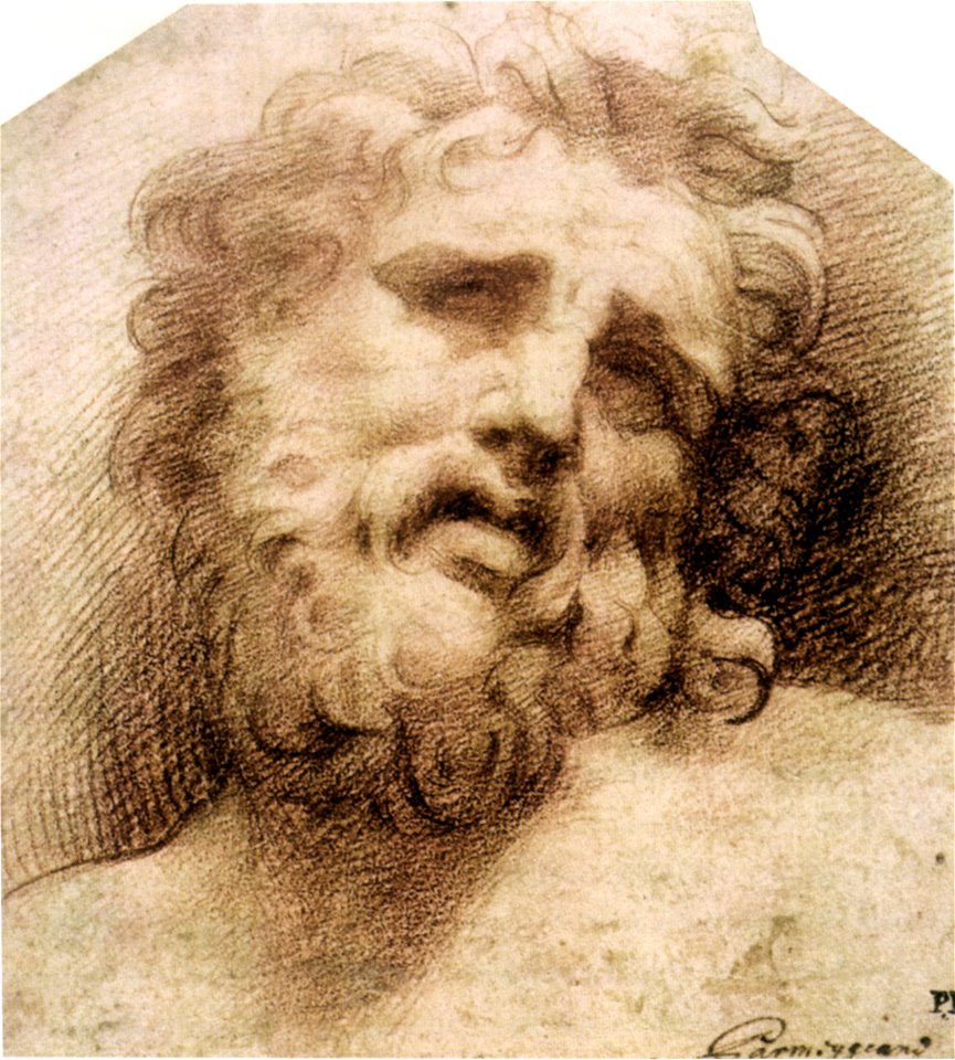 Parmigianino, testa del laocoonte, chatsworth
