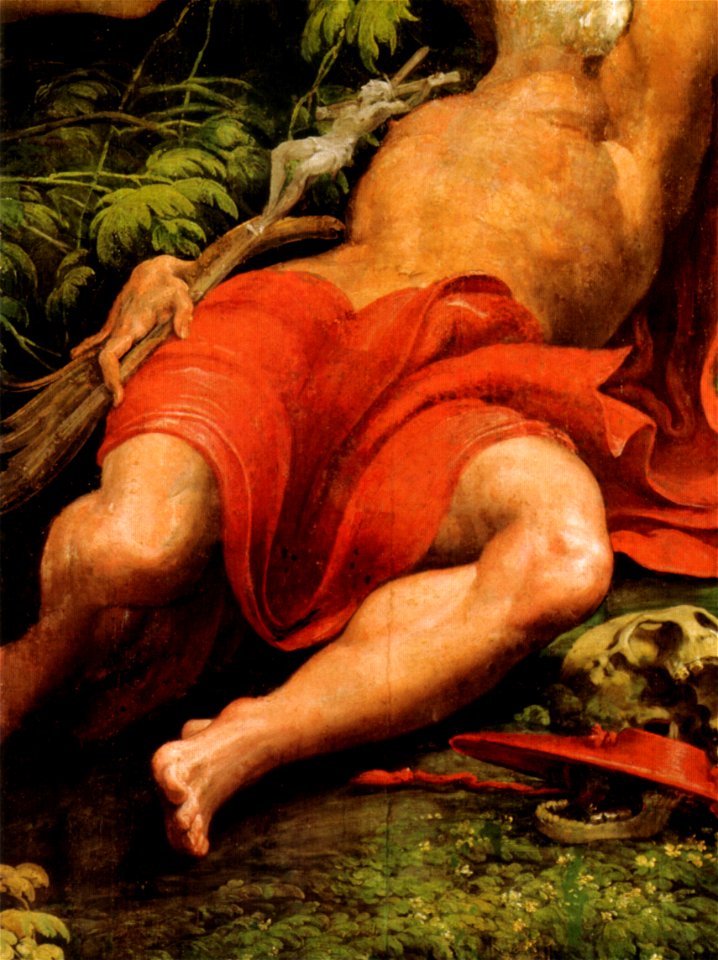 Parmigianino, visione di san girolamo 04