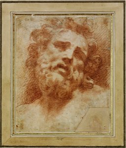 Parmigianino - after - Head of Laocoön, 2819