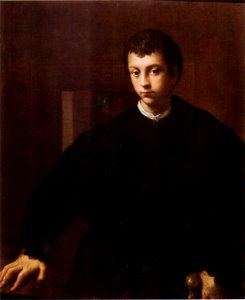 Parmigianino, ritratto di giovane hampoton court. Free illustration for personal and commercial use.