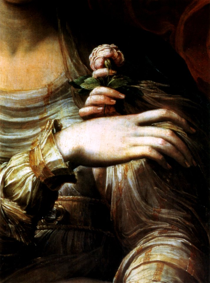 Parmigianino, madonna della rosa 03