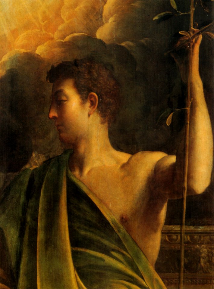 Parmigianino, pala di casalmaggiore 03