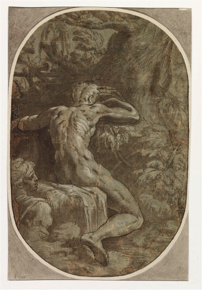 Parmigianino - after - Narcissus, 2132