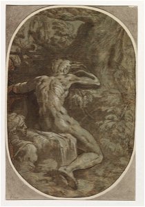 Parmigianino - after - Narcissus, 2132
