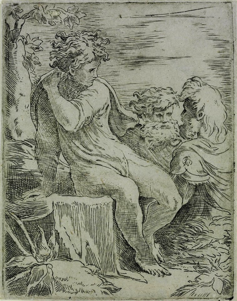 Parmigianino - Youth with Two Old Men, 6292