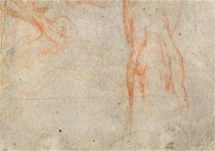 Parmigianino - The bust of a man c.1525-30, RCIN 990528, v