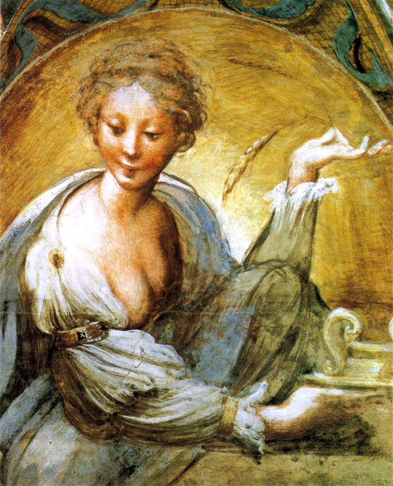 Parmigianino, affreschi di fontanellato 05