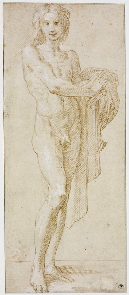 Parmigianino - Study of a Youth, 1929