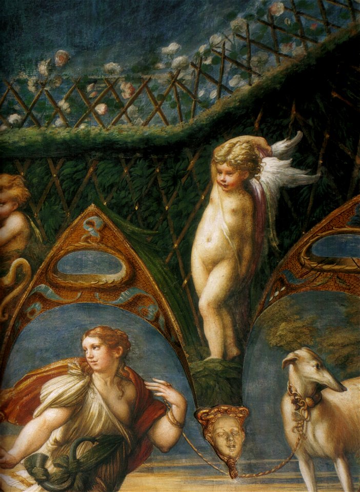 Parmigianino, affreschi di fontanellato 13