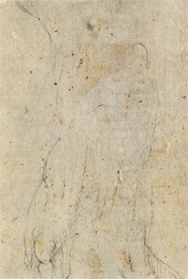 Parmigianino - The Virgin and Child c.1530, RCIN 990346, v
