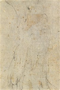 Parmigianino - The Virgin and Child c.1530, RCIN 990346, v
