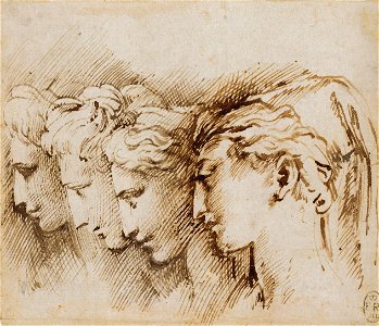 Parmigianino - Four female heads in profile c.1537-38, RCIN 990526