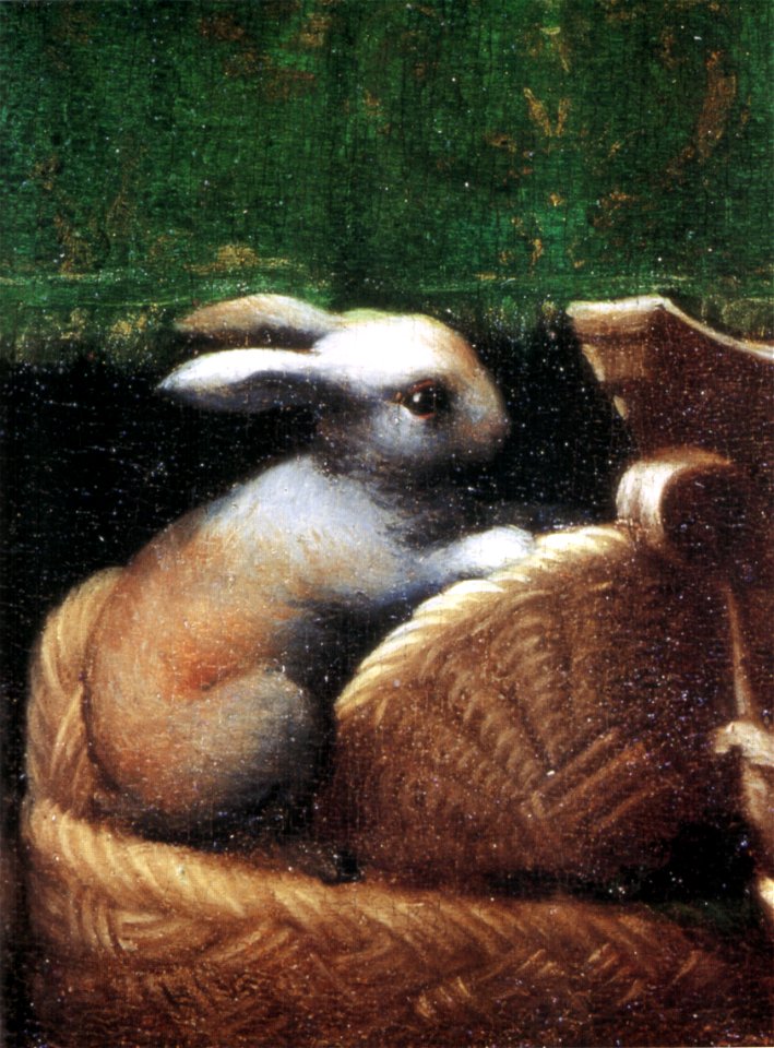 Parmigianino, circoncisione, dettaglio, coniglietto