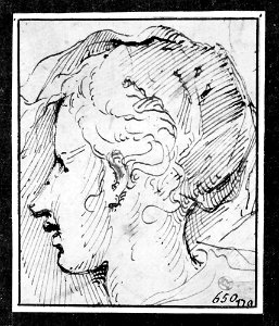 Parmigianino - Profile Head of a Woman, NMH 7911863