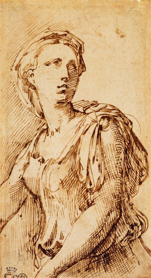 Parmigianino - A woman, half length c.1538-39, RCIN 990525