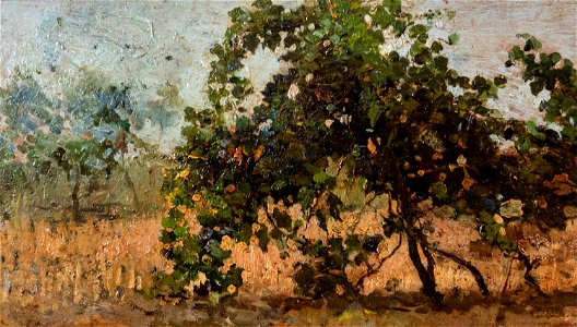 Pasquale Celommi - Untitled (CelommiP-89)
