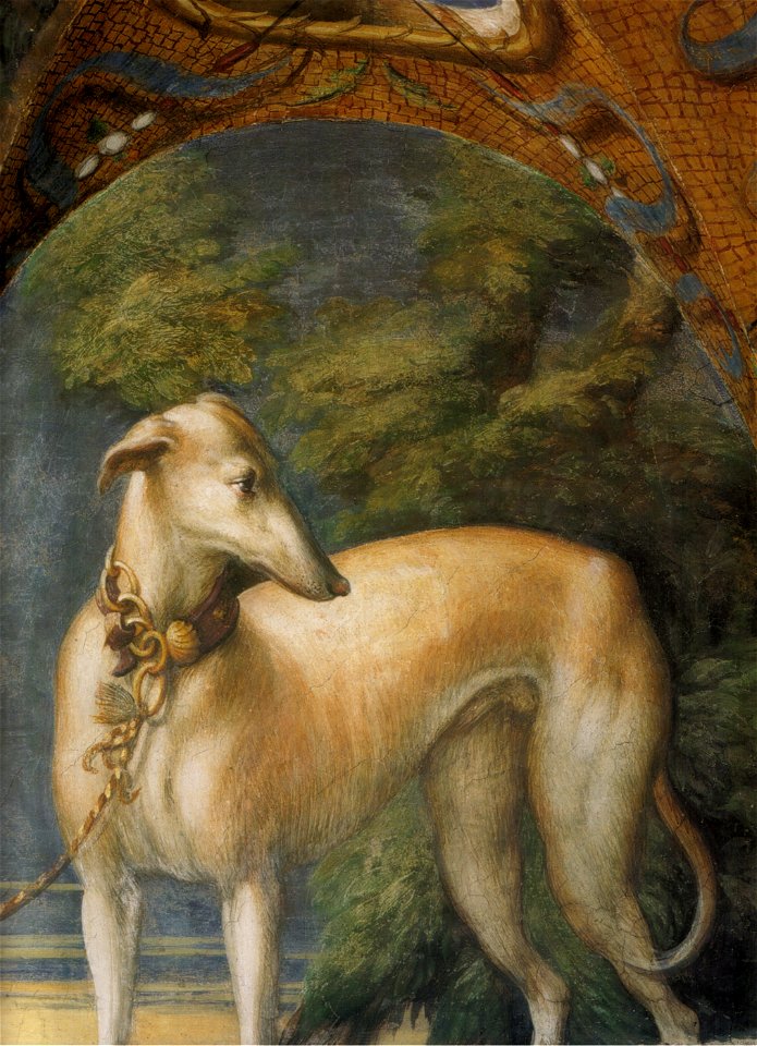 Parmigianino, affreschi di fontanellato 09