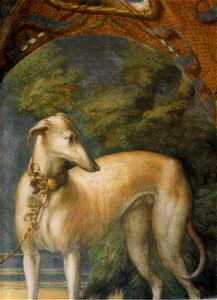 Parmigianino, affreschi di fontanellato 09