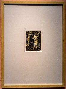 Passion Leidenschaft-Dürer-Der Sündenfall DSC7437