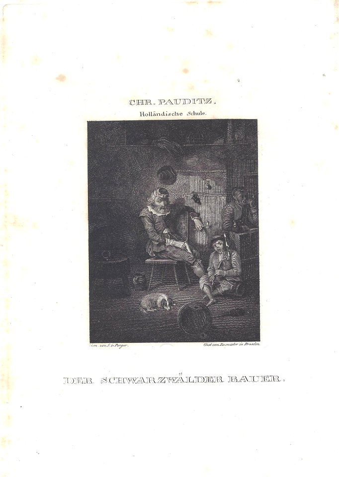 Pauditz Pseudohauensteiner