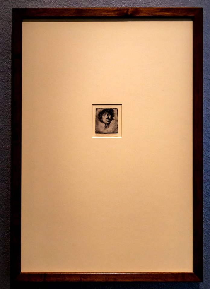 Passion Leidenschaft-Rembrandt-Selbstbildnis mit Mütze, aufgerissenen Augen und geöffnetem Mund DSC7534