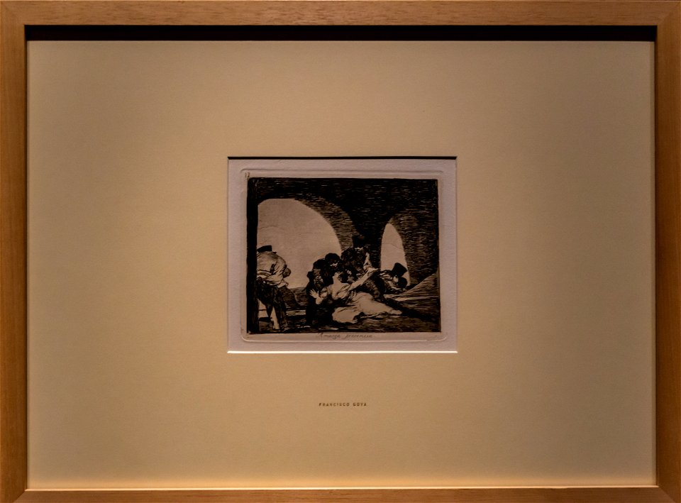 Passion Leidenschaft-Goya-Die Schrecken des Krieges-Bitter dem beiwohnen zu müssen DSC7519