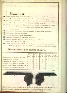 Pattes d'oie