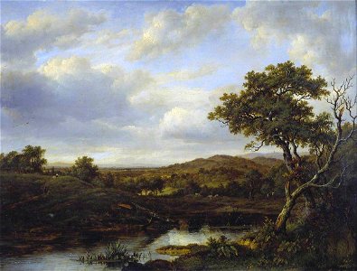 Patrick Nasmyth (1787-1831) - A Pond - N02208 - National Gallery