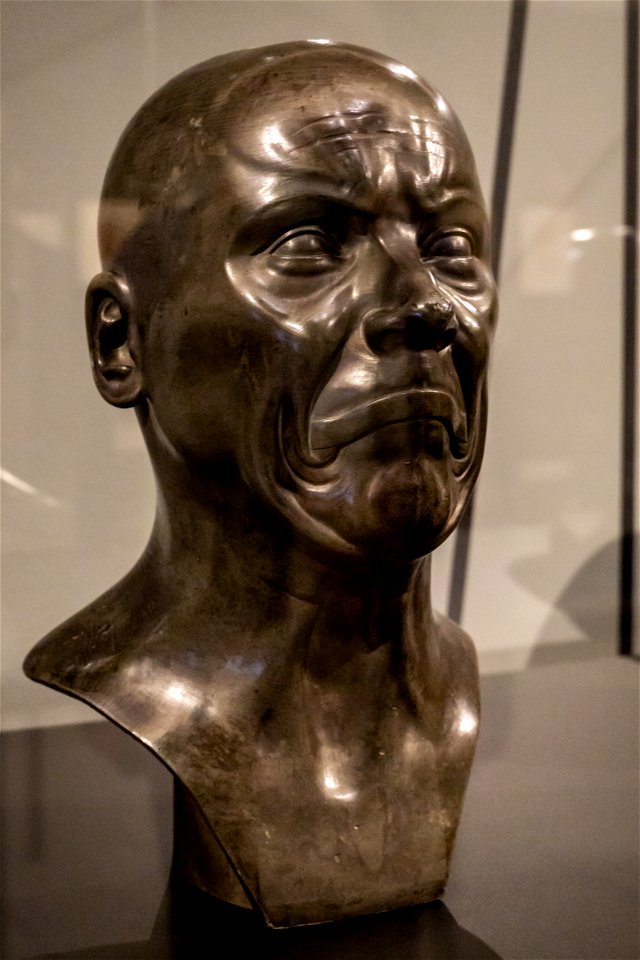 Passion Leidenschaft-Messerschmidt-Innerlich verschlossener Gram DSC7379