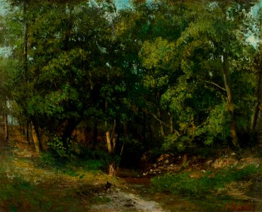Patà Courbet Forest landscape