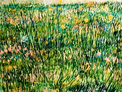 Patch of Grass - My Dream