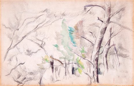 Paul Cézanne - Trees (Arbres) - BF655 - Barnes Foundation. Free illustration for personal and commercial use.