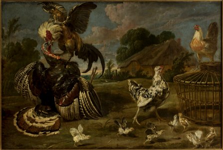 Paul de Vos - A turkey and a rooster - M.Ob.2504 MNW - National Museum in Warsaw
