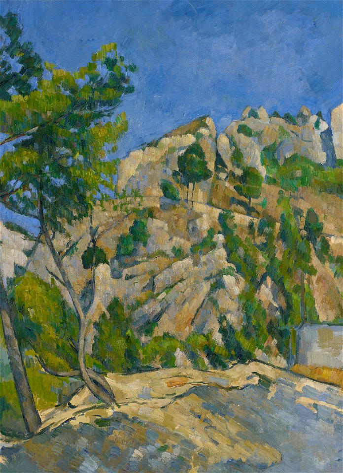 Paul Cézanne - Bottom of the Ravine - 98.274 - Museum of Fine Arts