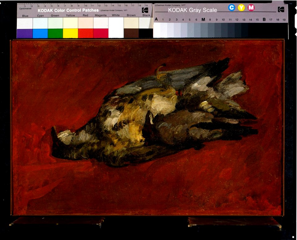 Paul Cézanne - Still Life with Game Birds - 1976.70 - Fogg Museum