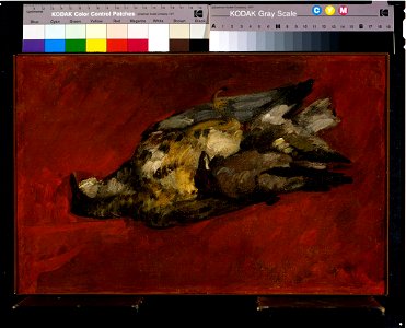 Paul Cézanne - Still Life with Game Birds - 1976.70 - Fogg Museum