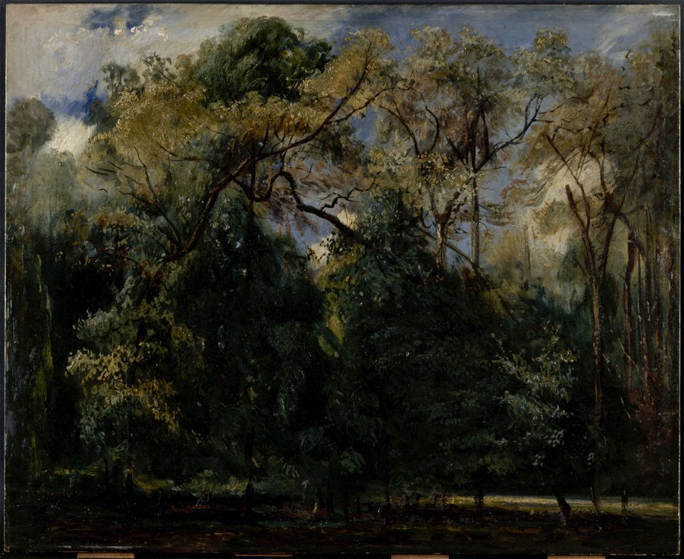 Paul Huet - Les ormes de Saint-Cloud - PPP2215 - Musée des Beaux-Arts de la ville de Paris