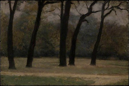 Paul Fordyce Maitland (1863-1909) - Fall of the Leaves, Kensington Gardens - T03631 - Tate