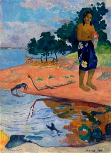 Paul Gauguin - Haere Pape - BF109 - Barnes Foundation
