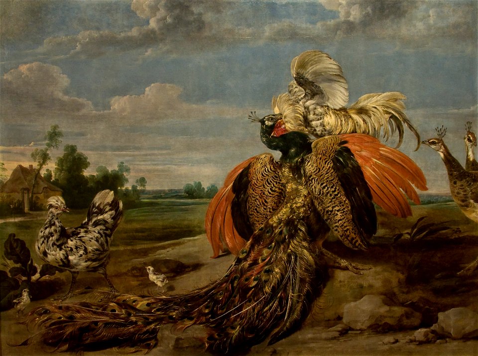 Paul de Vos (1595-1678) - Vechtende pauw en haan - Lissabon Museu Calouste Gulbenkian 21-10-2010 13-23-48