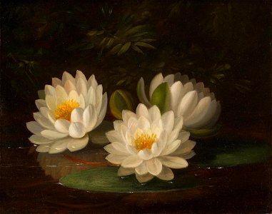 Paul Lacroix - Water Lilies - 2015.35 - Crystal Bridges Museum of American Art