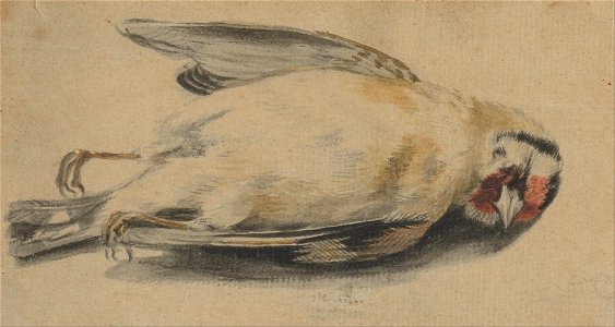 Paul Sandby - A Dead Bird - Google Art Project