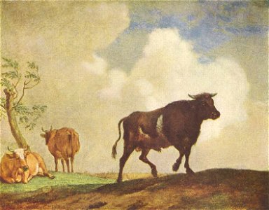 Paulus Potter 003