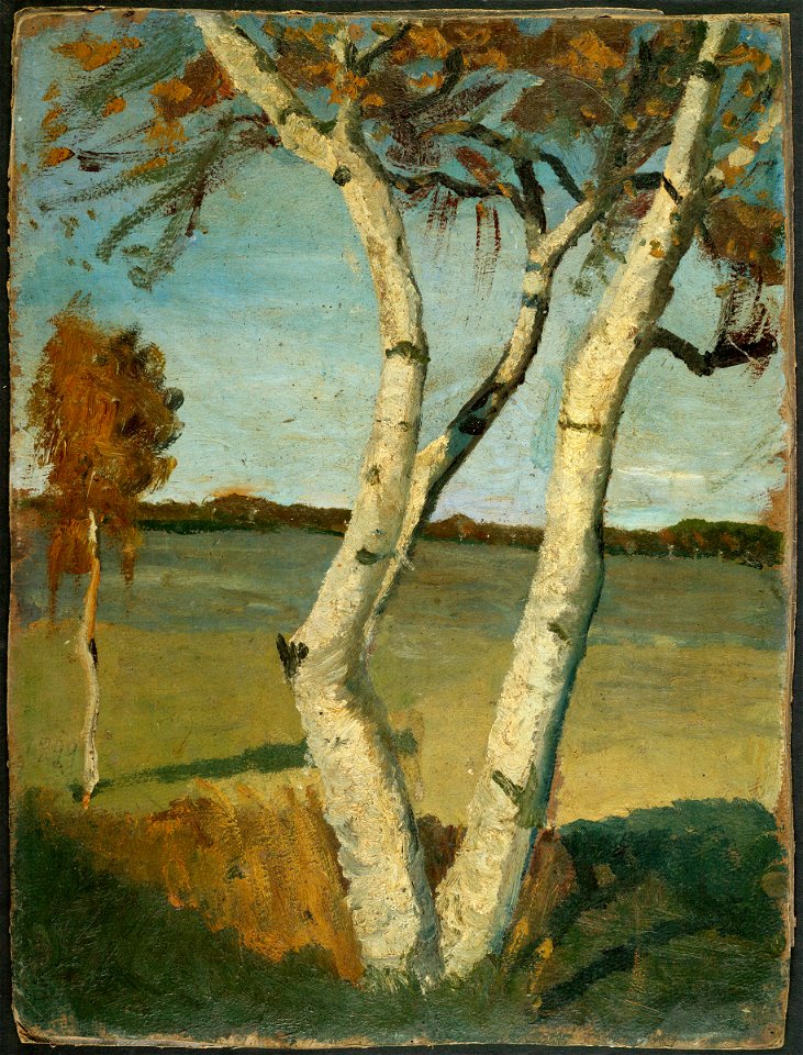 Paula Modersohn-Becker - Birch Tree in a Landscape - 2003.4 - Busch–Reisinger Museum
