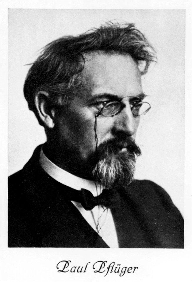 Paul Pflüger - Sozarch F Pa-0001-034