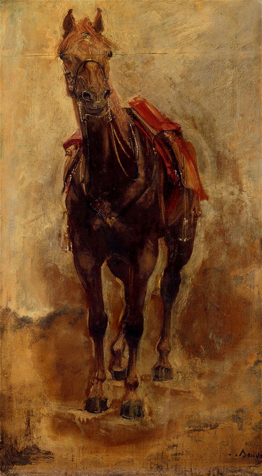 Paul-Aimé-Jacques Baudry - Étude de cheval pour le portrait équestre du comte de Palikao - P1804 - Musée Carnavalet