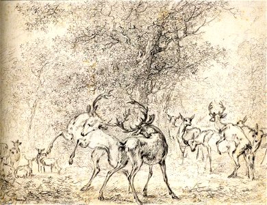 Paulus Potter - Deer in the Wood - WGA18222