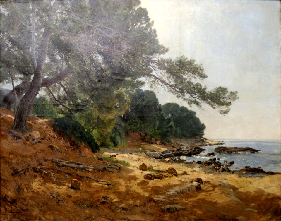 Paulin Bertrand - Les pins penchés à Carqueiranne