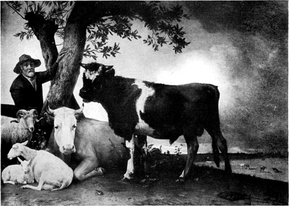 Paulus Potter 005 black and white